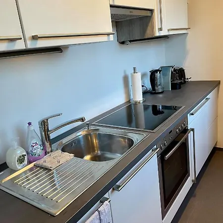 55m2 Inkl Parkplatz In 8045 Andritz Apartment